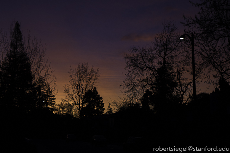 arcadia place surise